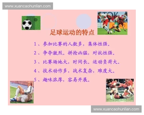 以体育评估为核心的学校运动表现与健康发展研究路径与策略探索